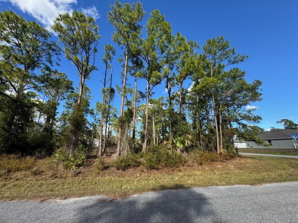 Tba Sturrup Street, North Port, FL 34291 Photo