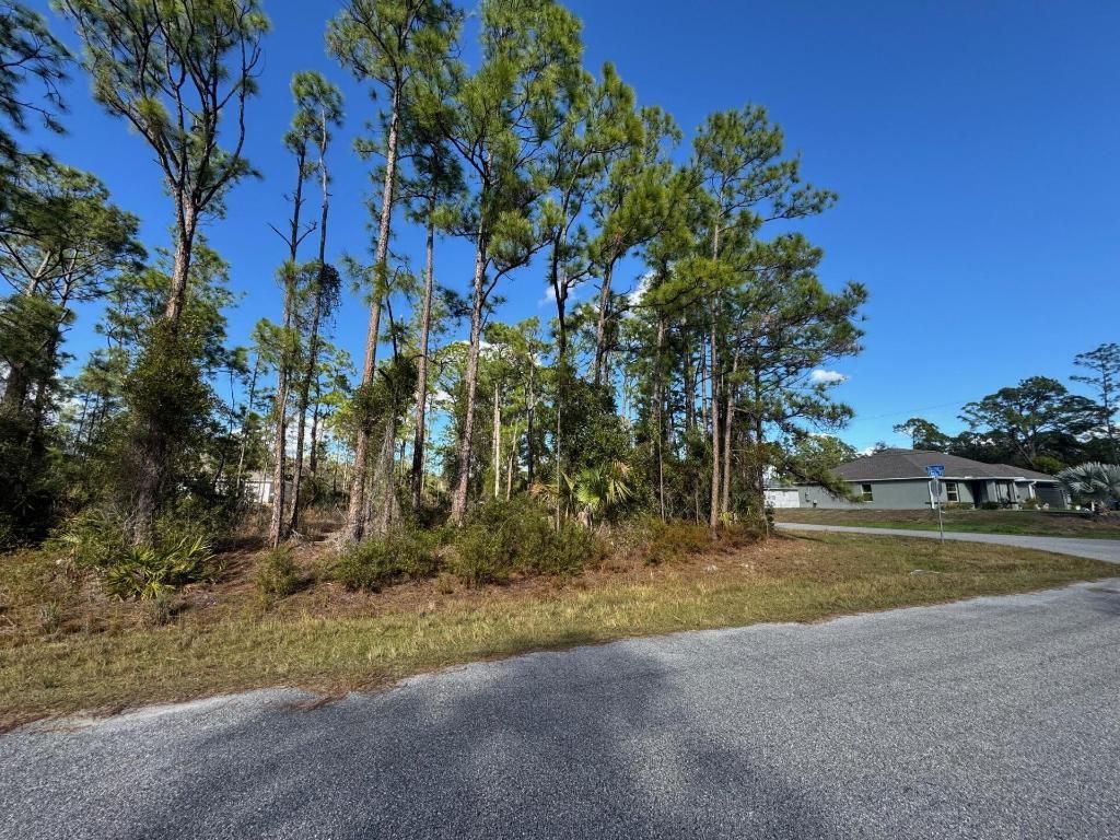 Tba Sturrup Street, North Port, FL 34291 Photo