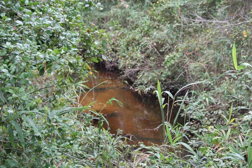 00 Fellowship Road Photo 10