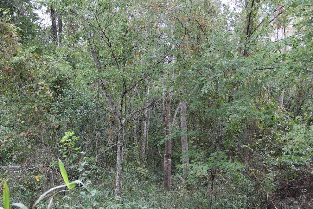 00 Fellowship Road Photo 11