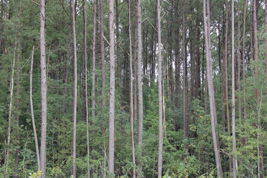 00 Fellowship Road Photo 14