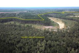 00 Fellowship Road photo 4