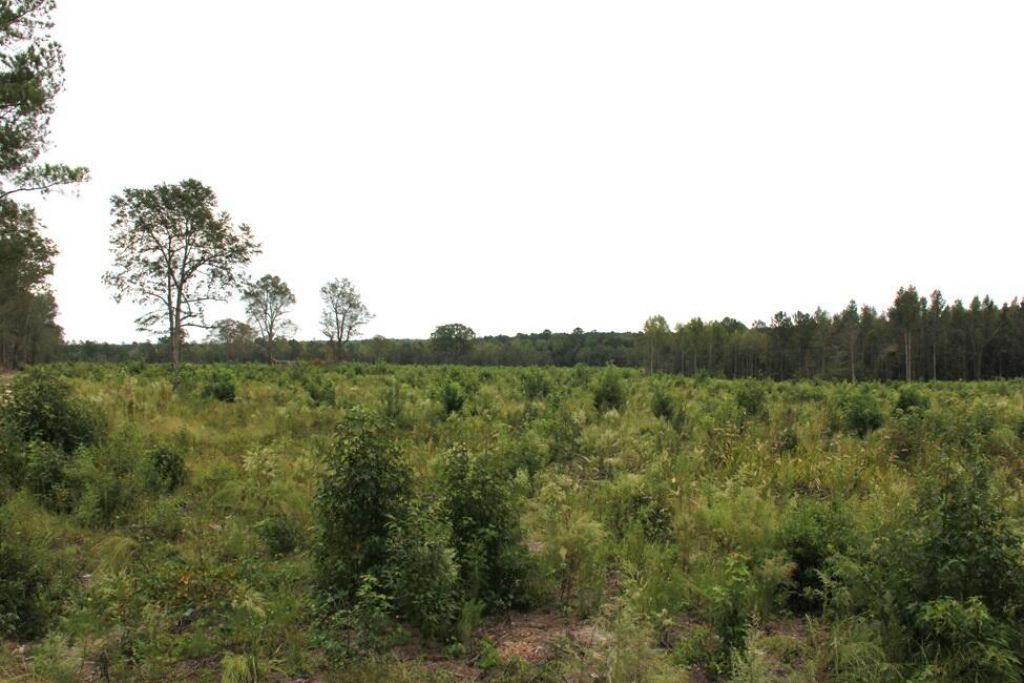 00 Fellowship Road Photo 7