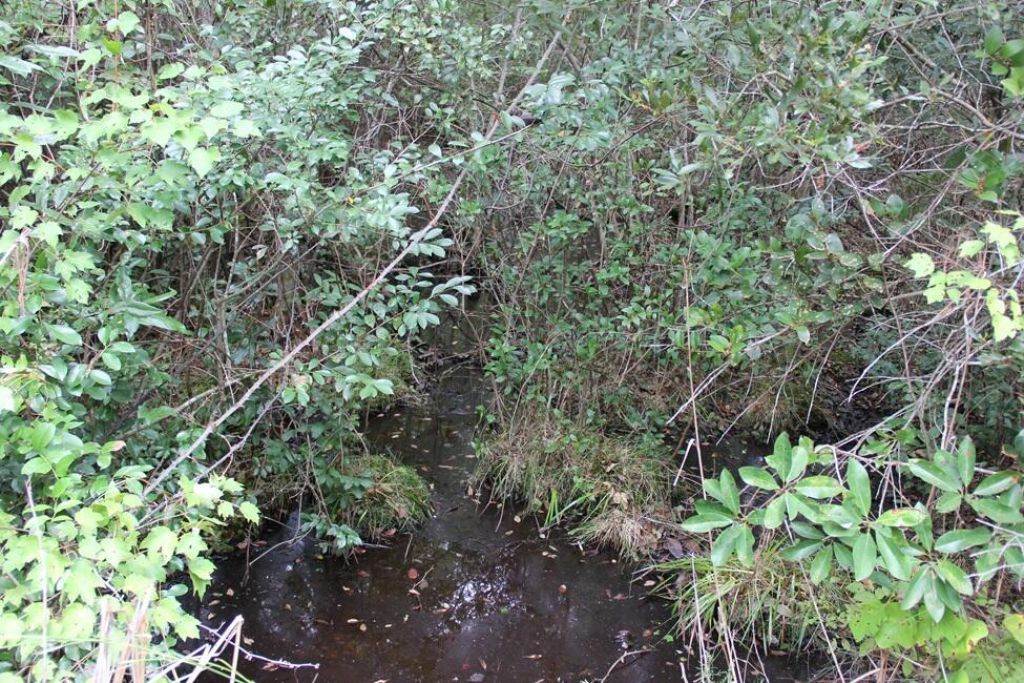 00 Fellowship Road Photo 9