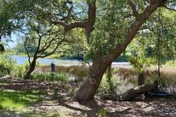 4066 Blackmoor Street photo 4