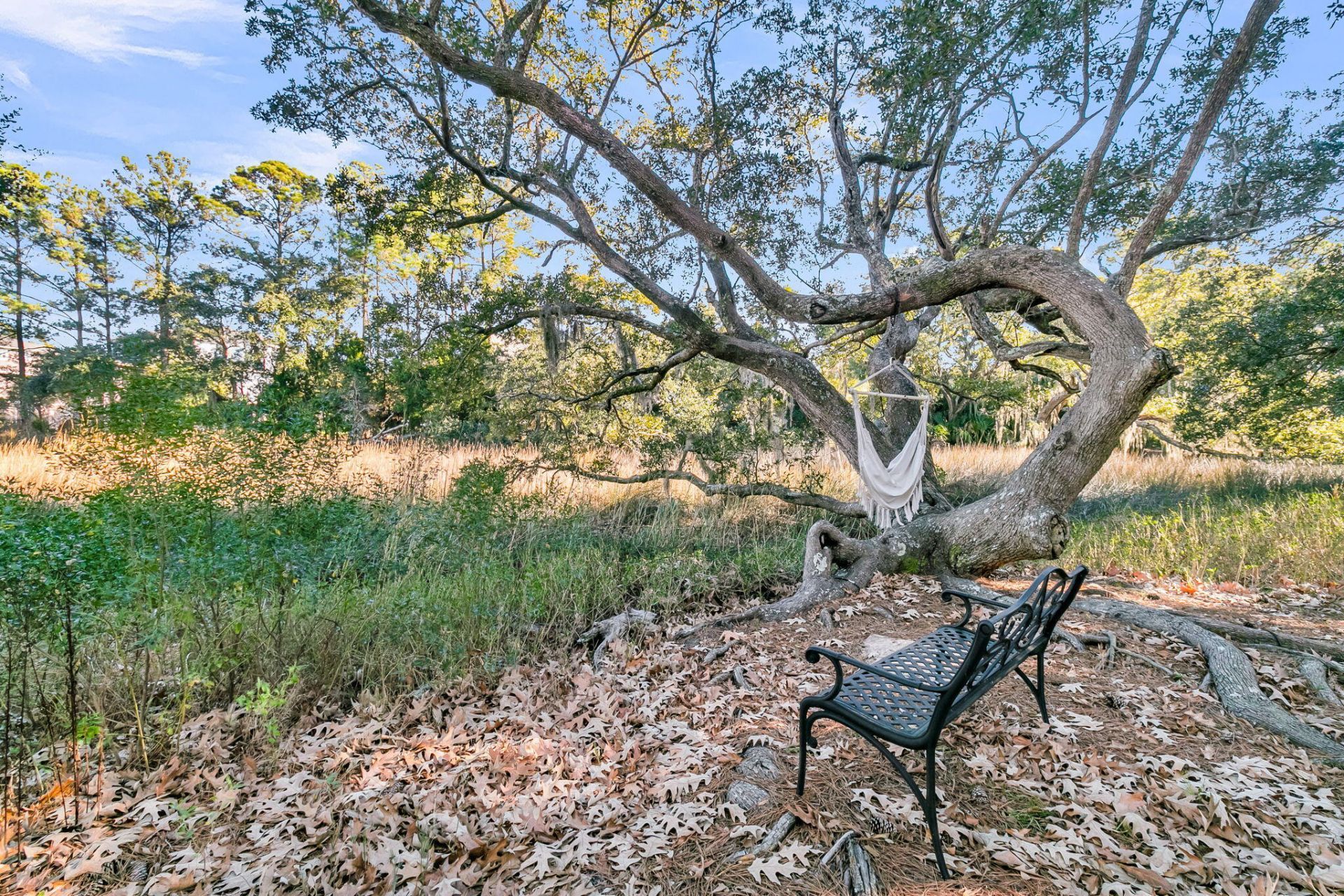 4066 Blackmoor Street Photo 52