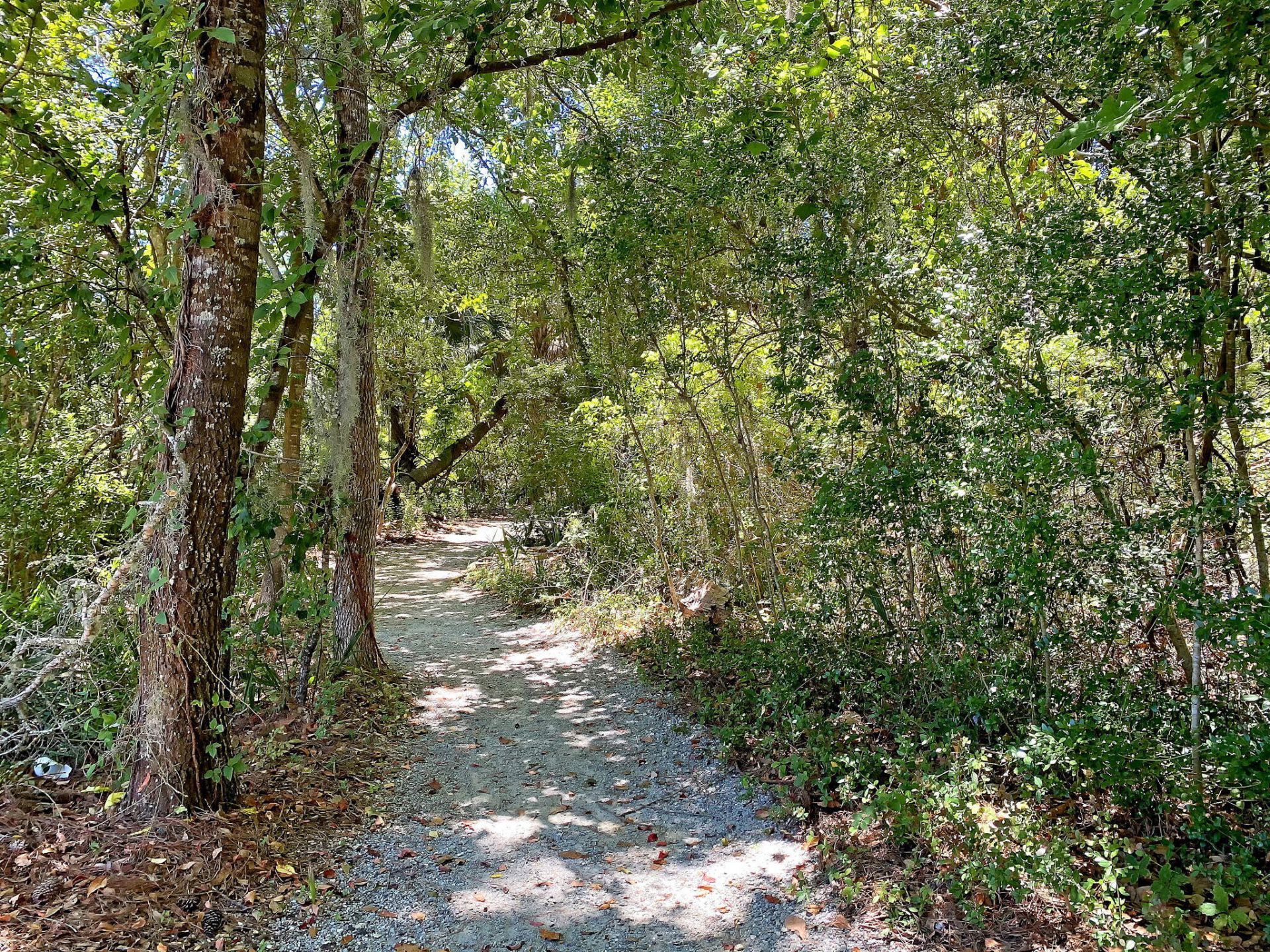 4066 Blackmoor Street Photo 78