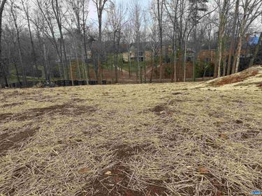 2331 FERNDOWN LN, Keswick, VA 22947