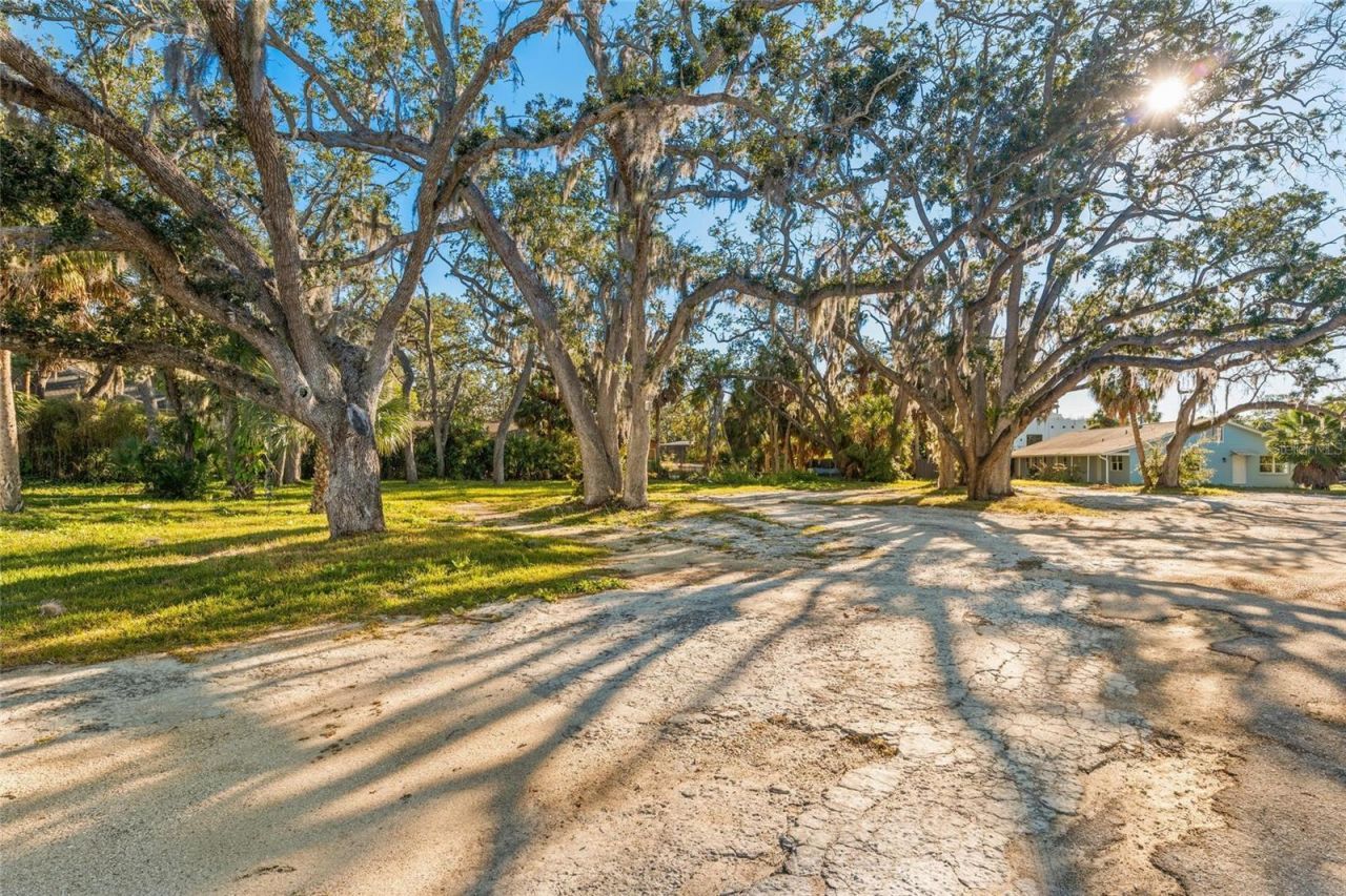 404 Canal Street, Tarpon Springs, FL 34689 Photo