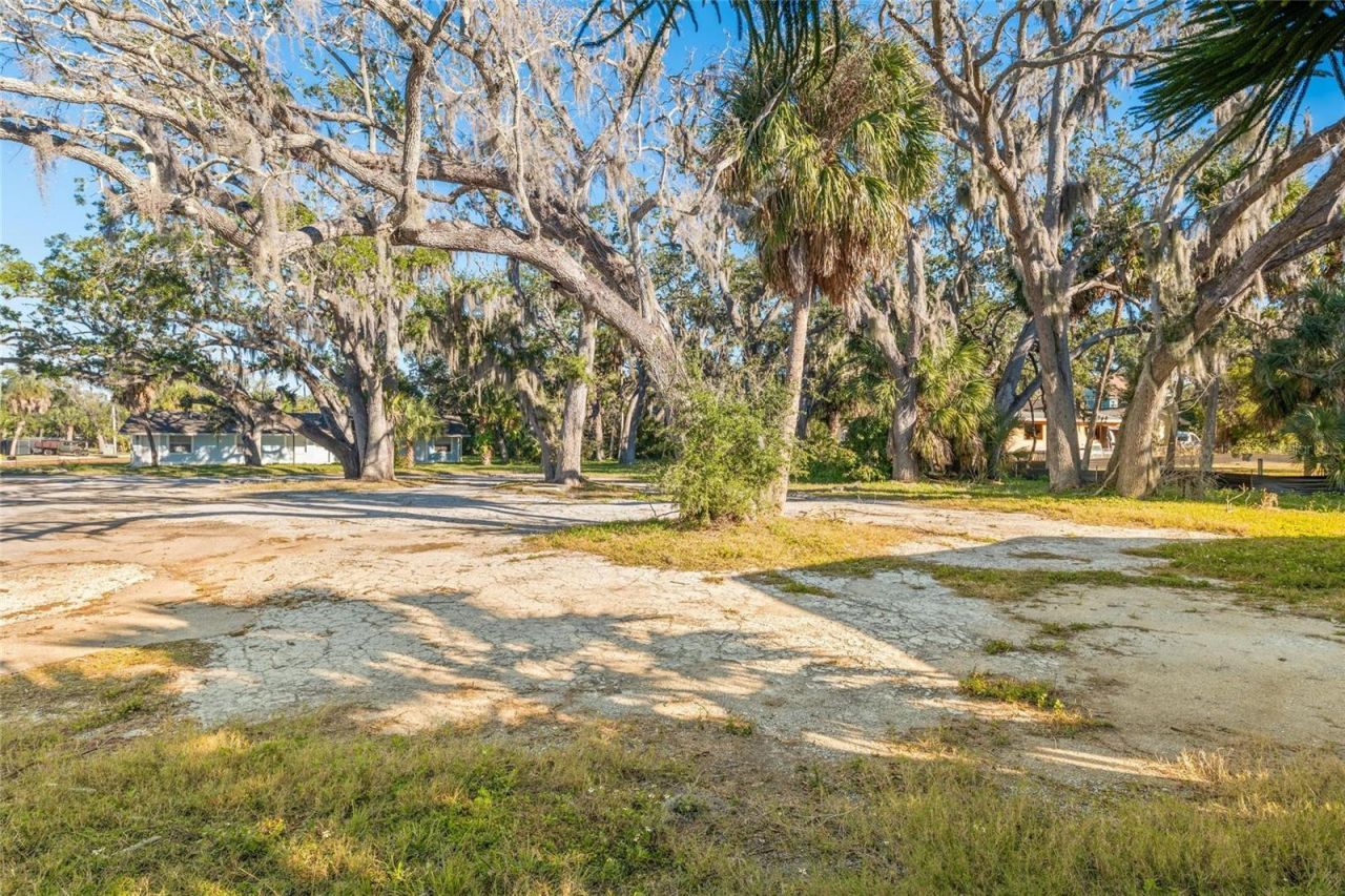 404 Canal Street, Tarpon Springs, FL 34689 Photo