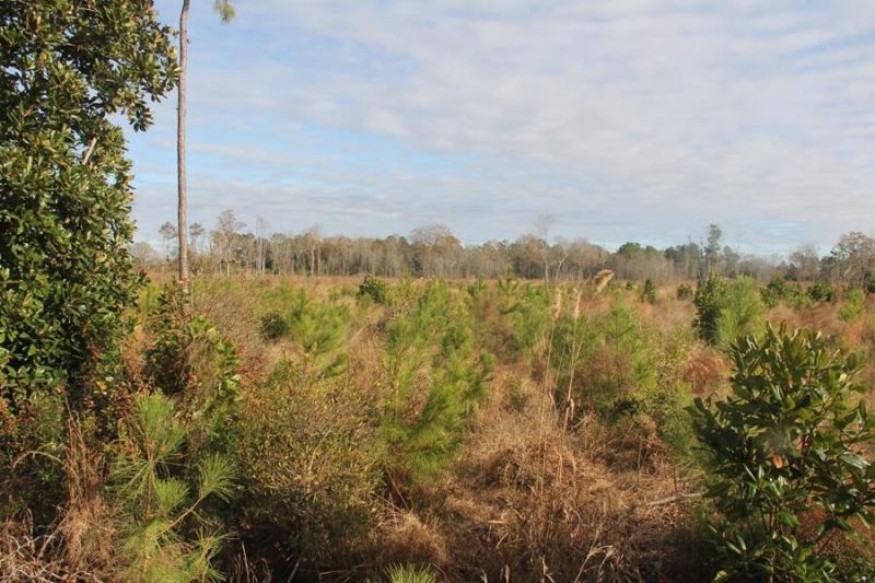 00 Hampton Avenue Photo 10