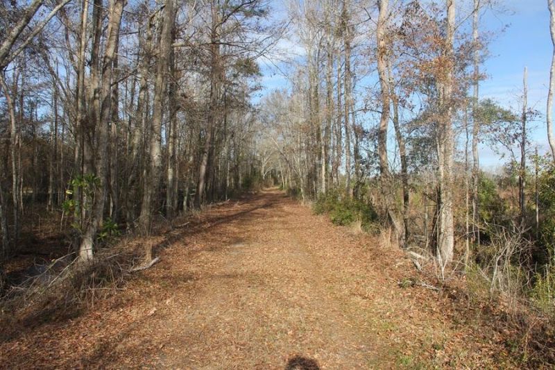 00 Hampton Avenue Photo 11