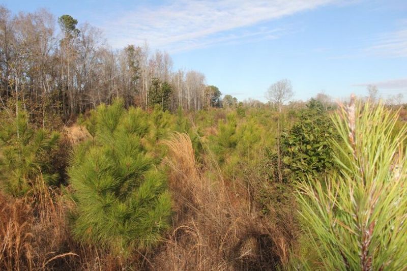 00 Hampton Avenue Photo 12