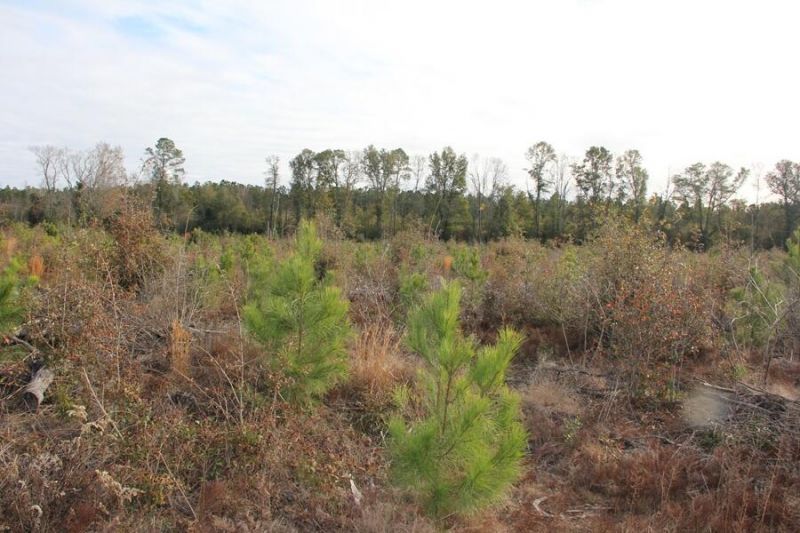 00 Hampton Avenue Photo 15