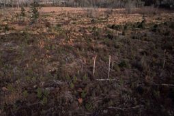 00 Hampton Avenue photo 4