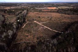 00 Hampton Avenue photo 4