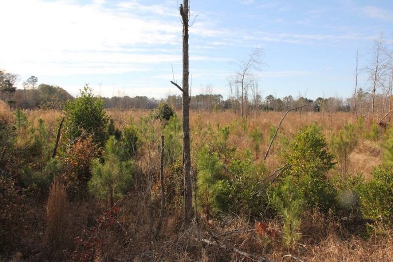 00 Hampton Avenue Photo 6