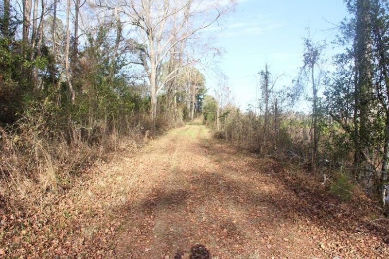 00 Hampton Avenue Photo 9