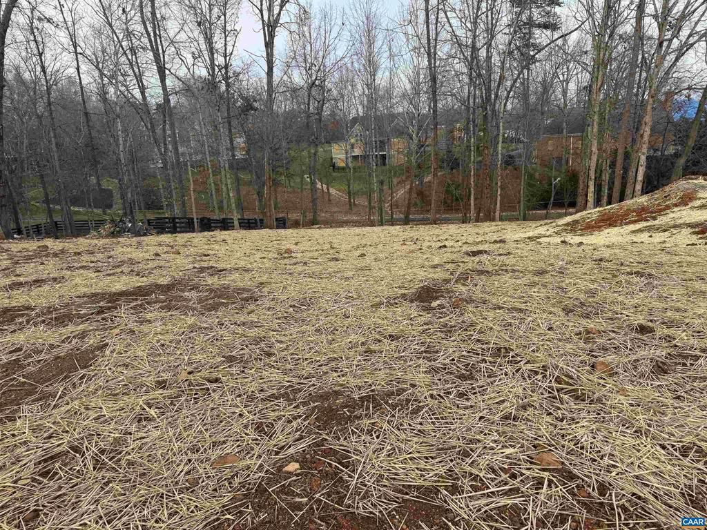 2331 Ferndown Ln, Keswick, VA 22947 Main Photo