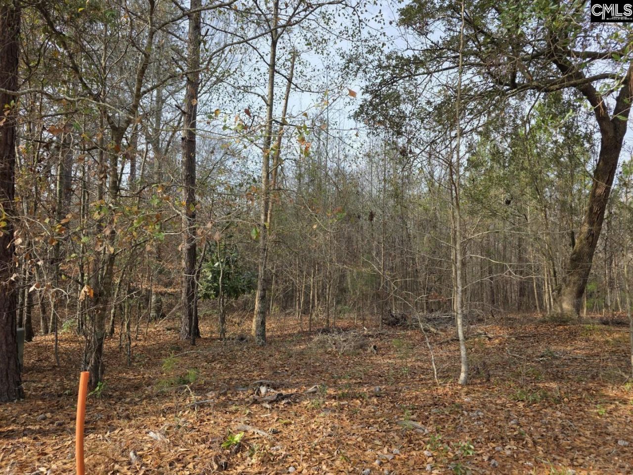 142 Orange Parish Street  Photo 4