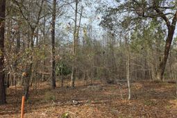 142 Orange Parish Street  photo 4