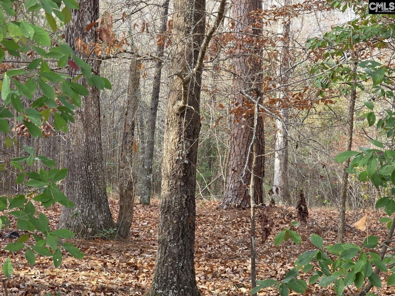 142 Orange Parish Street  Photo 5