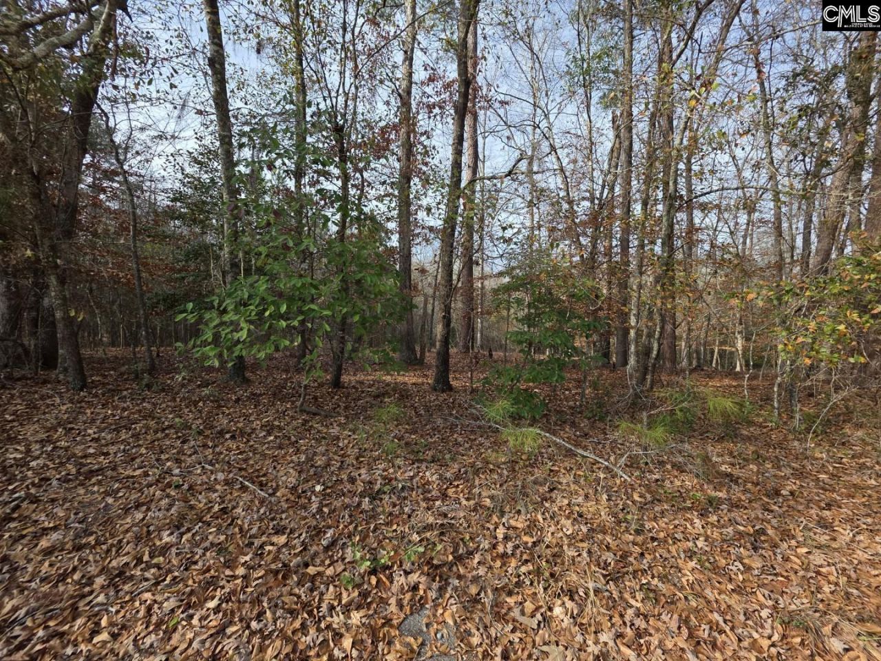 142 Orange Parish Street  Photo 6