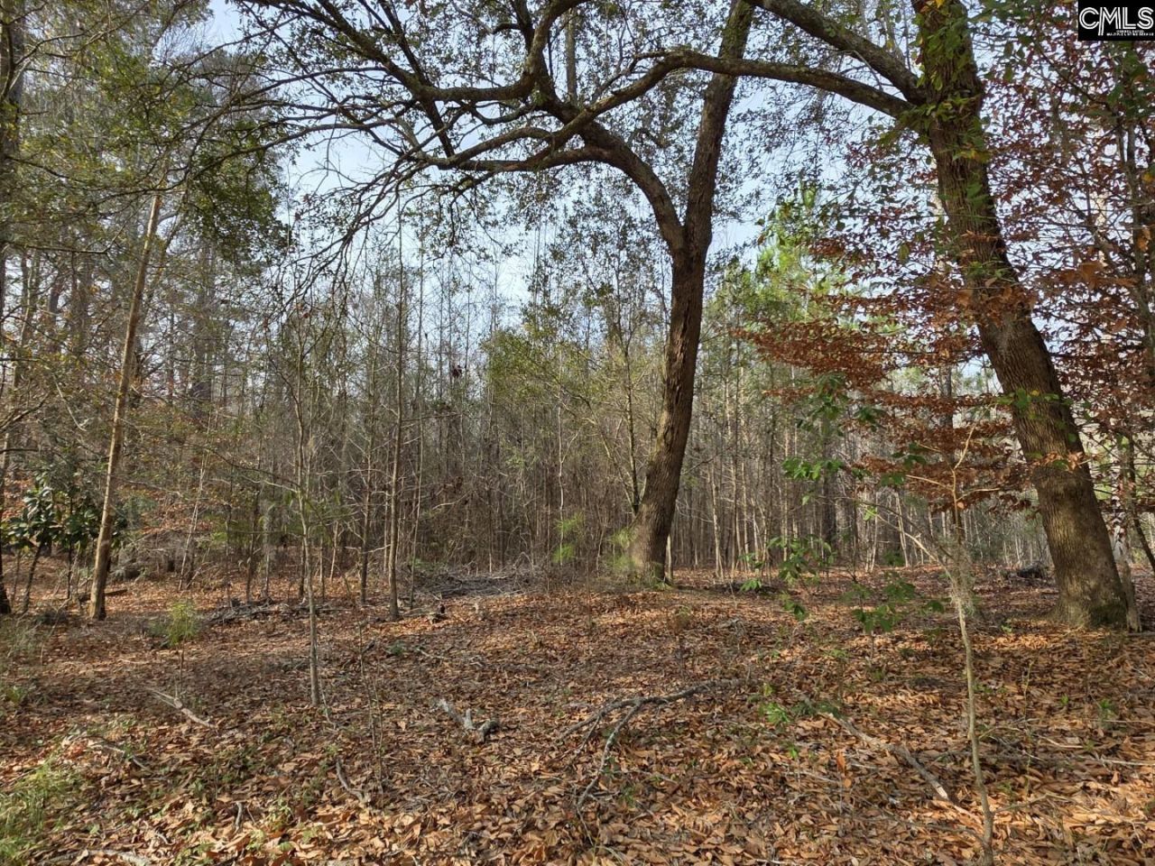 142 Orange Parish Street  Photo 8