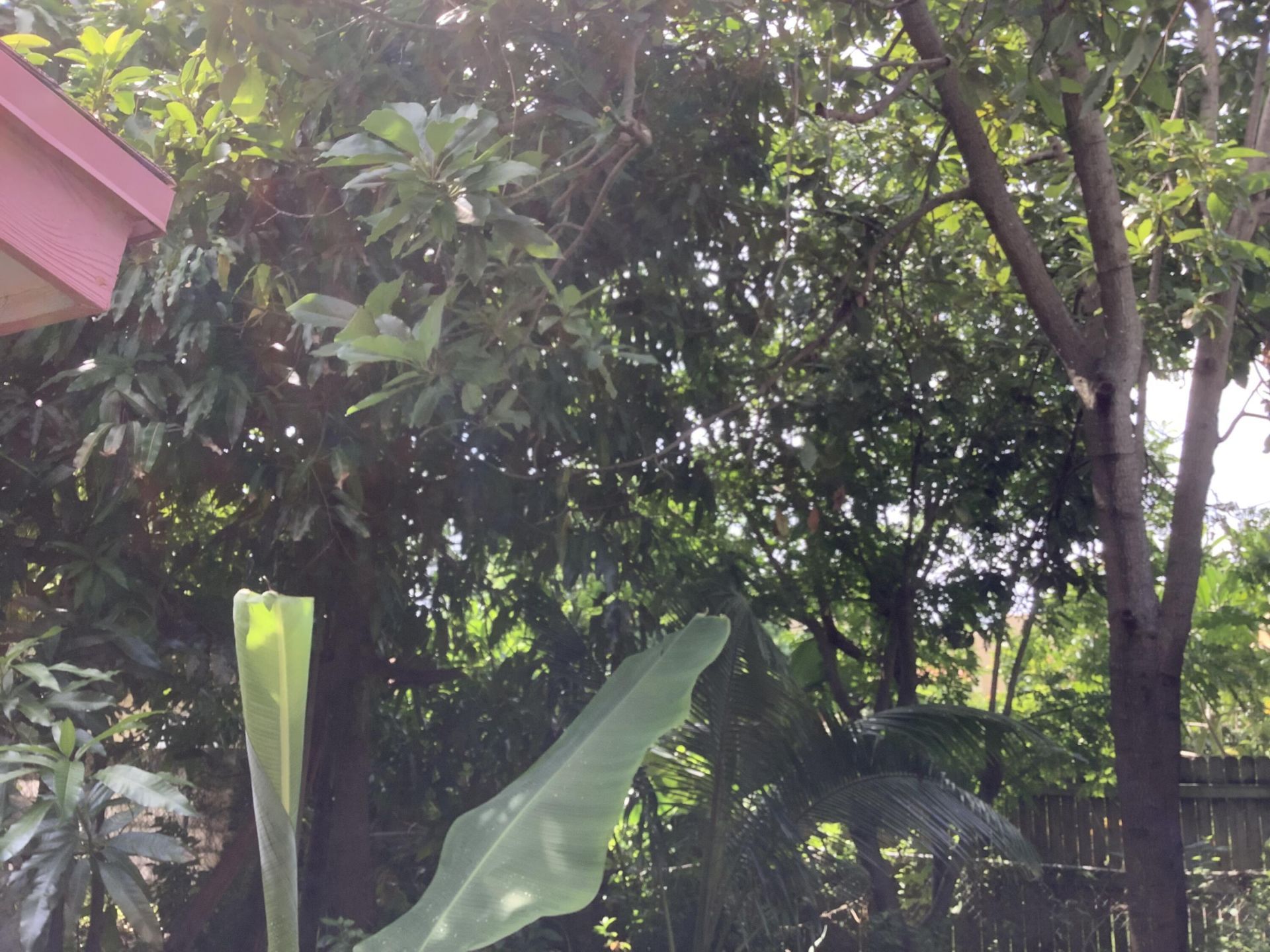 424 59th Street, West Palm Beach, FL 33407 Photo