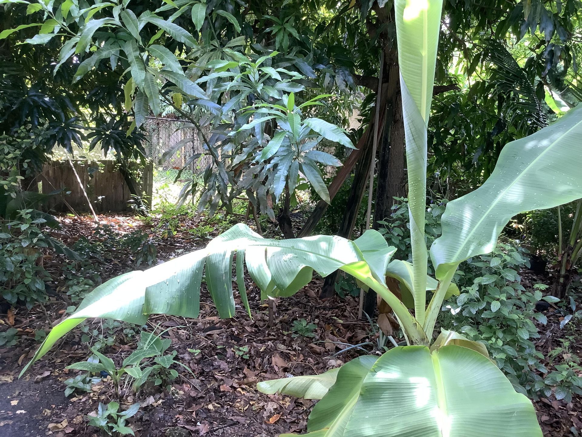 424 59th Street, West Palm Beach, FL 33407 Photo