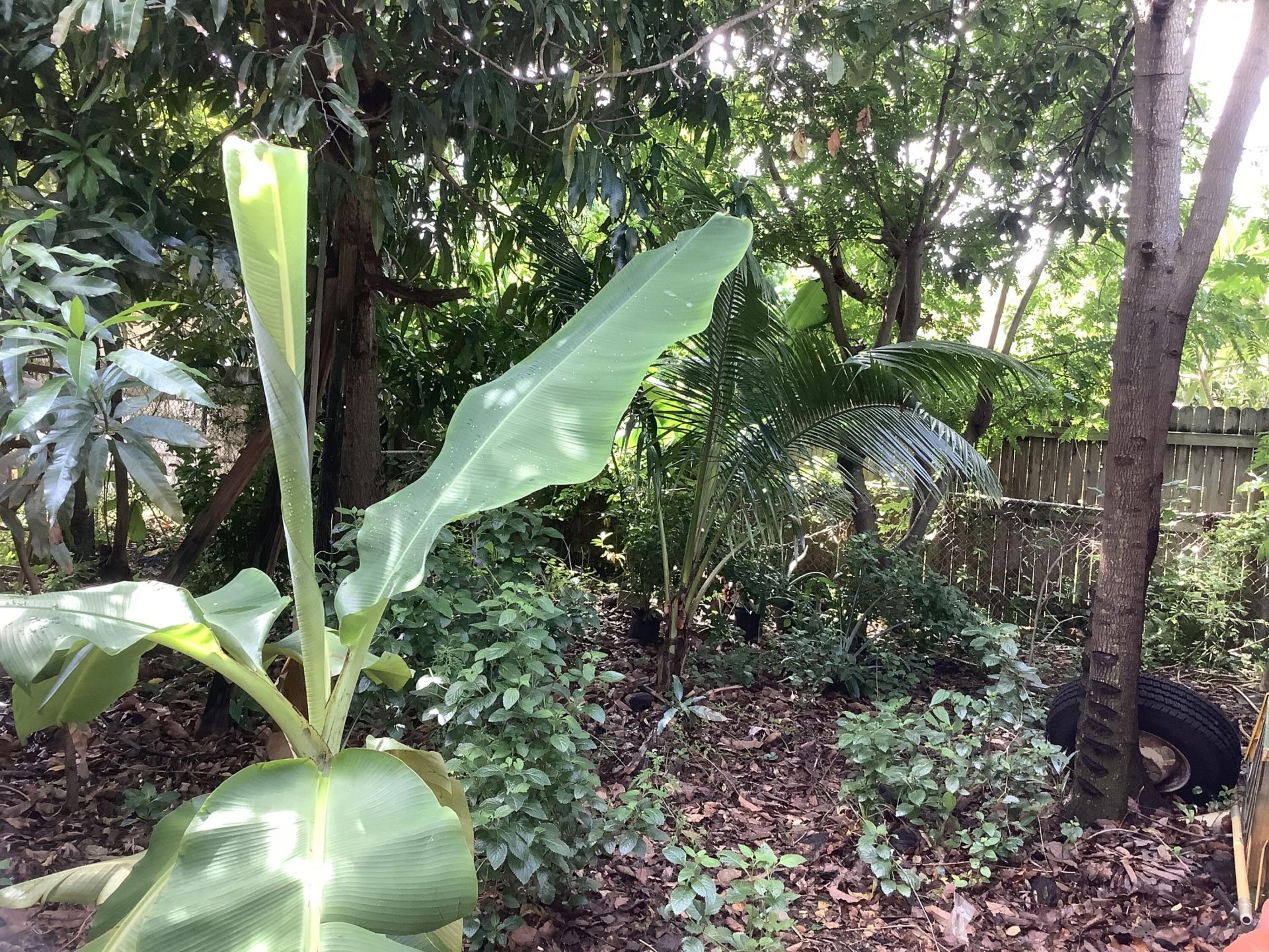 424 59th Street, West Palm Beach, FL 33407 Photo