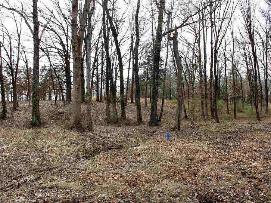 Property Image 8