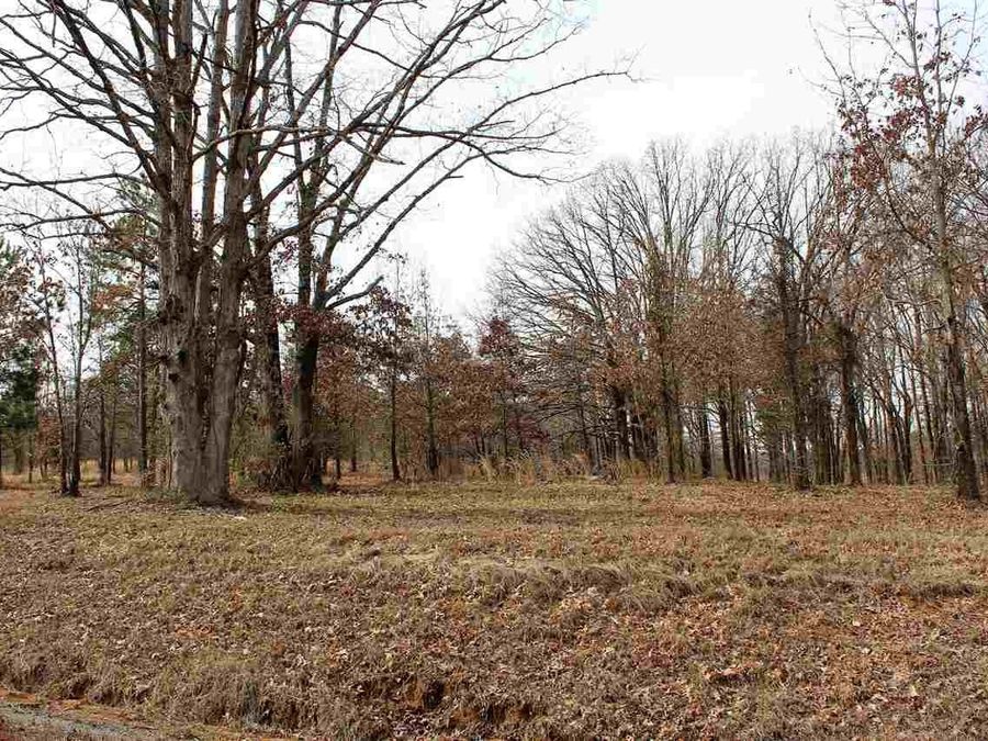Property Image 10