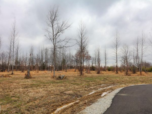 157 CR 4243, Jonesboro, AR 72404