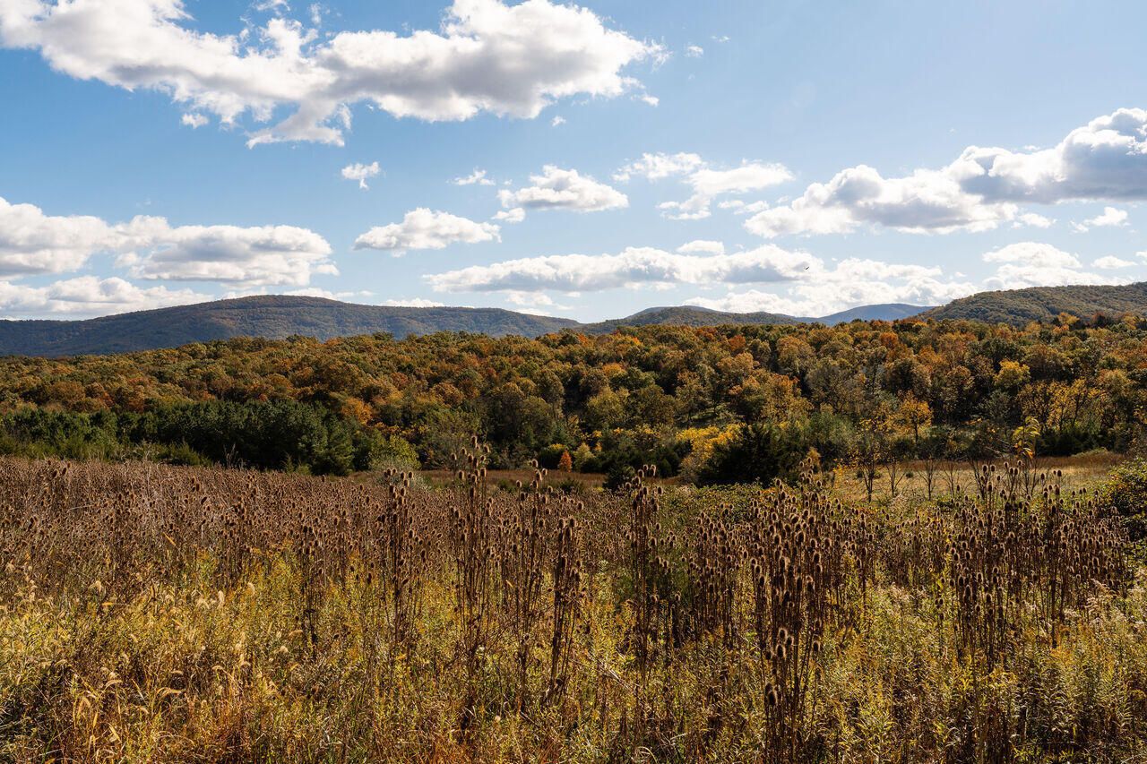 461 Thunderbird Road, Bentonville, VA 22610 Main Photo