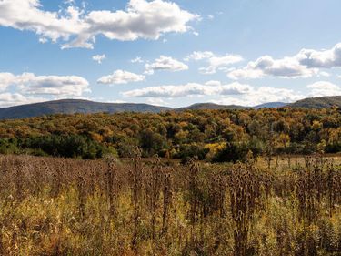 461 Thunderbird Road, Bentonville, VA 22610