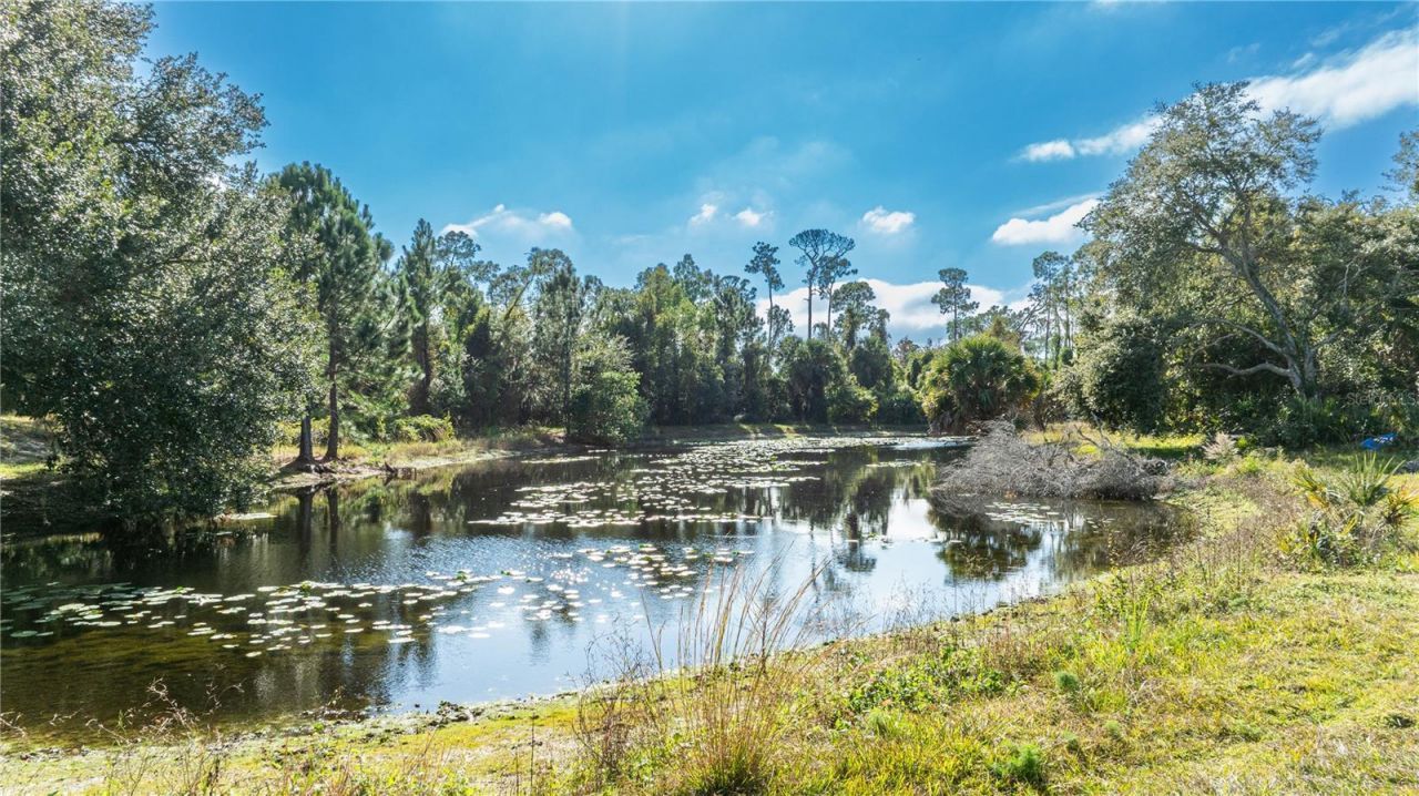 7970 Bannon Fish Camp Road, Haines City, FL 33844 Photo