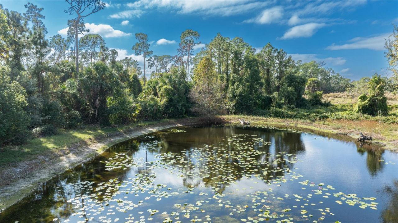 7970 Bannon Fish Camp Road, Haines City, FL 33844 Photo