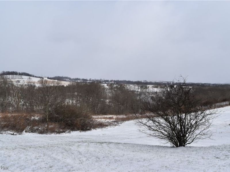 66345 McBride Hill Road, Saint Clairsville, OH 43950 Photo 18