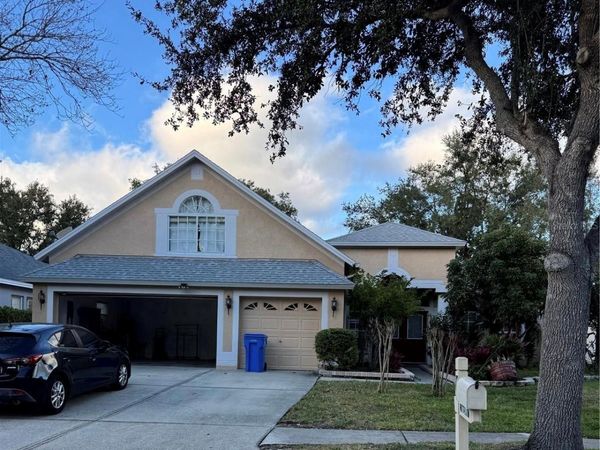 10209 SHADOW BRANCH DRIVE, TAMPA, FL 33647