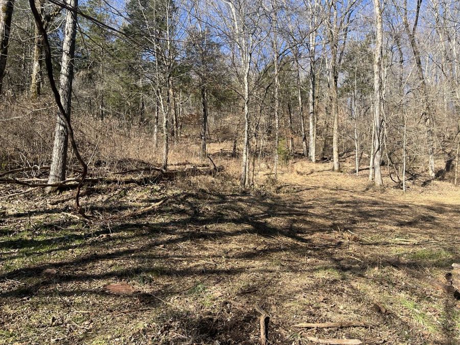 Property Image 4
