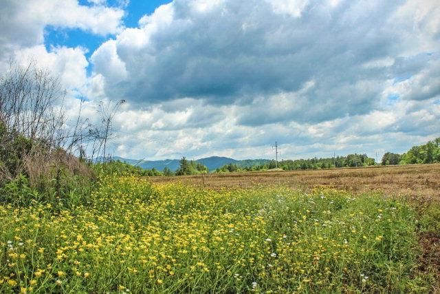 00 Hwy 64 E, Murphy, NC 28906 Main Photo