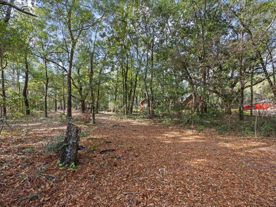 Property Image 52