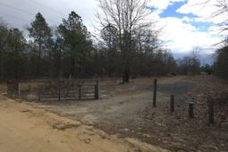 307 Tom Adams Road  photo 4