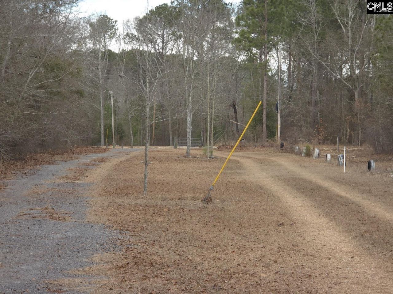 307 Tom Adams Road  Photo 4