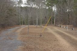 307 Tom Adams Road  photo 4