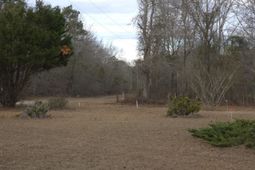 307 Tom Adams Road  photo 4