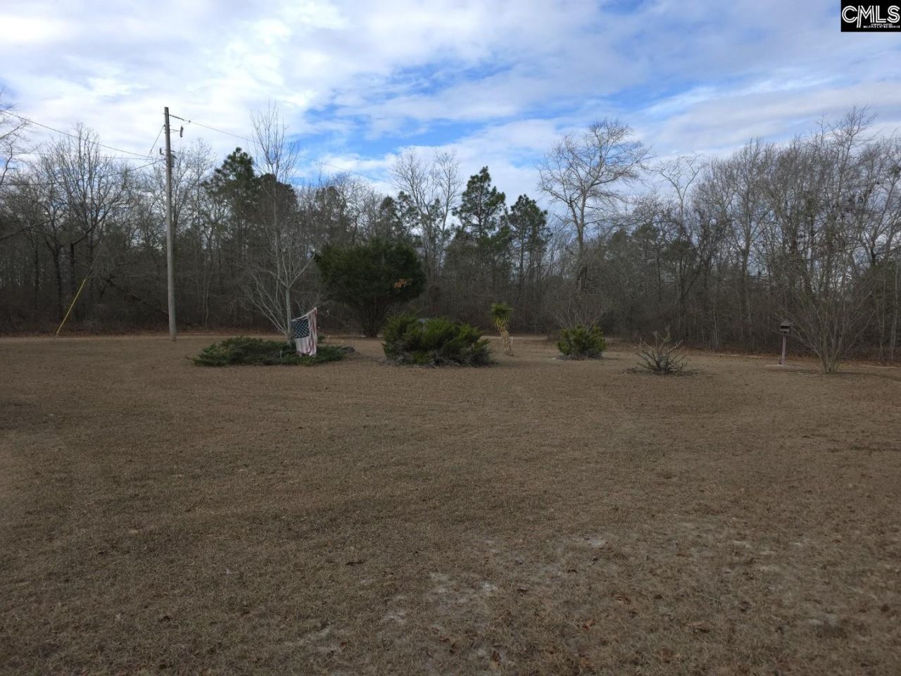 307 Tom Adams Road  Photo 6