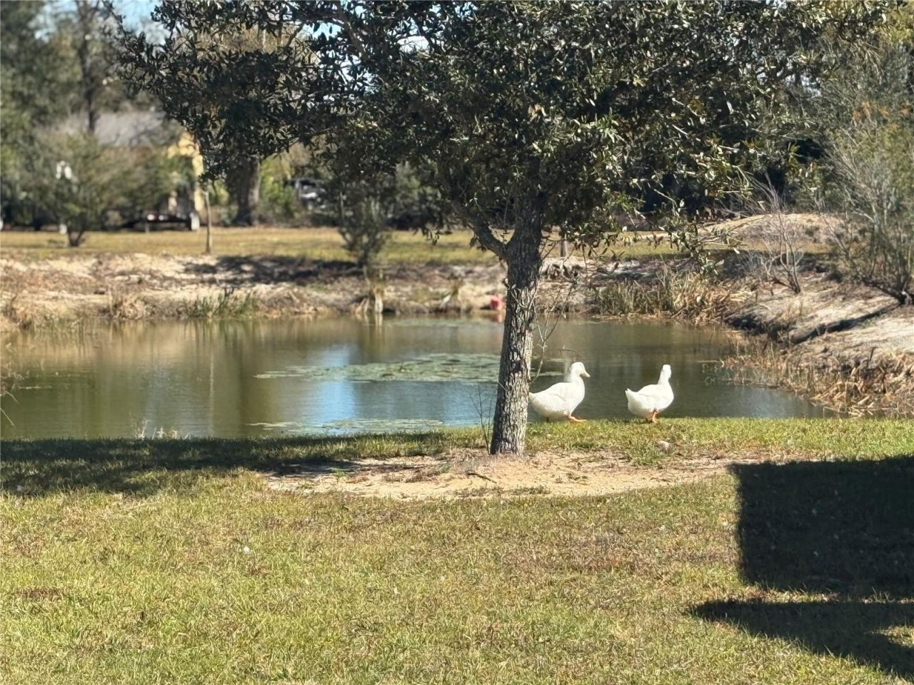 9930 SE Hoth Road, Arcadia, FL 34266 Photo