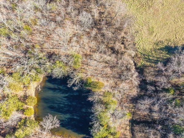 9068 County Road, Green Forest, AR 72638